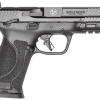 SMITH & WESSON M&P9 M2.0 (LIMITED EDITION TENNESSEE) for sale