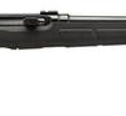 Savage A17 .17HMR Semi-Auto Rifle 22" Barrel