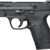 Smith & Wesson M&P9 Shield 9mm