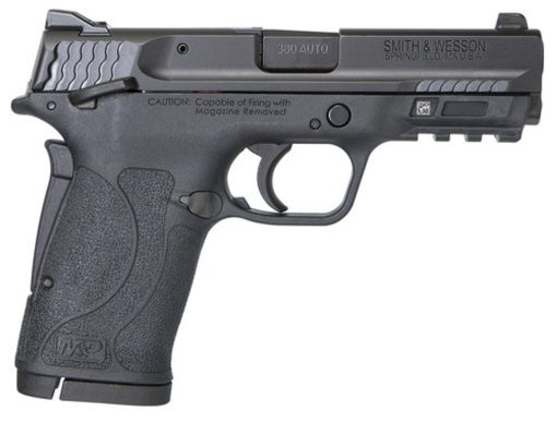 Smith & Wesson M&P Shield EZ .380 ACP