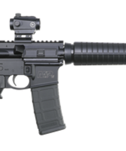 Smith & Wesson M&P 15