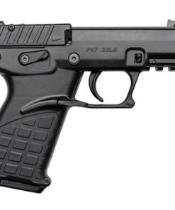 Kel-Tec P17 .22 LR