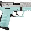 Walther P22 .22 L.R. Angel Blue