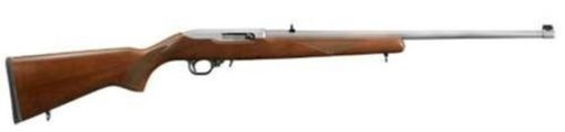 Ruger 10/22 22LR