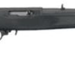 Ruger 10/22 Carbine Synthetic 22LR