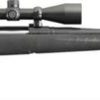 Ruger American Rifle