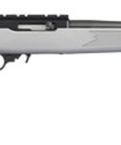 Ruger 10/22 Carbine .22 LR