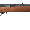 Ruger 10/22 Carbine .22 LR