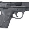 Smith & Wesson M&P Shield M2.0 9mm