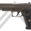 P220 LEGION 10MM For Sale for sale
